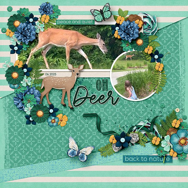 Watching the Deer