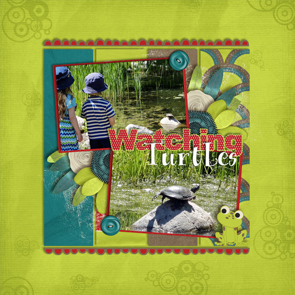 Watching Turtles