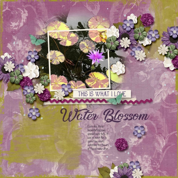 Water Blossom