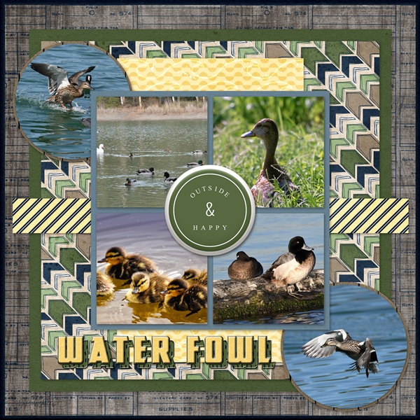 Water Fowl