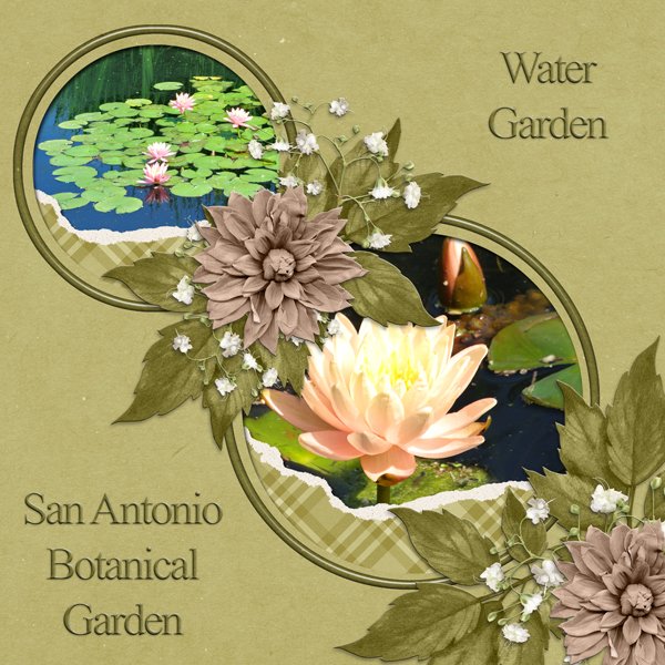 Water Garden