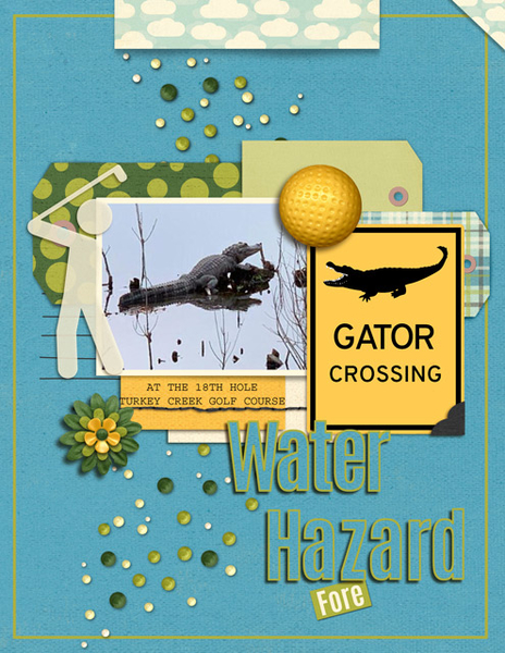 Water Hazard