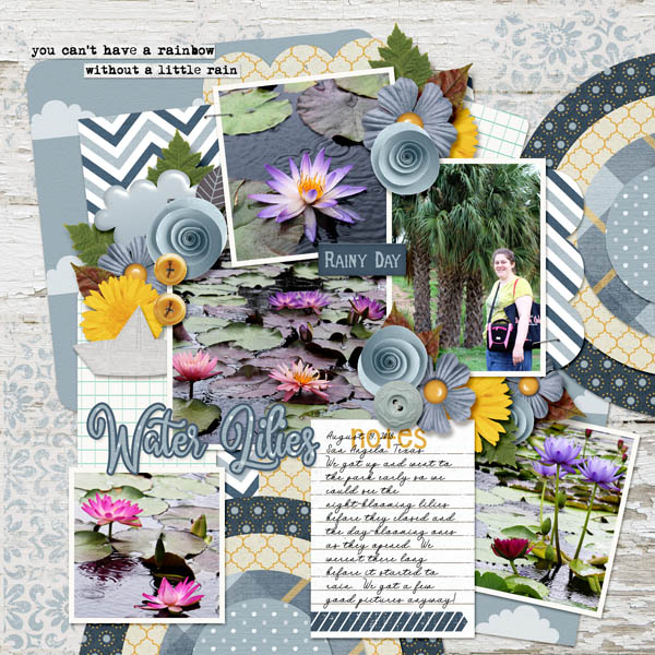 Water Lilies