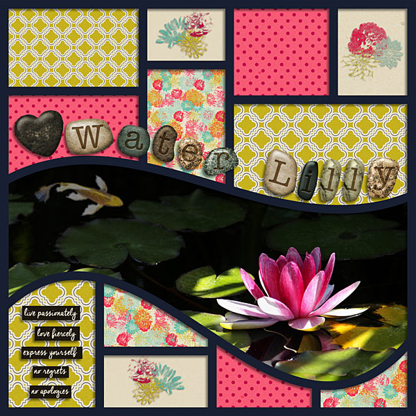 Water Lily