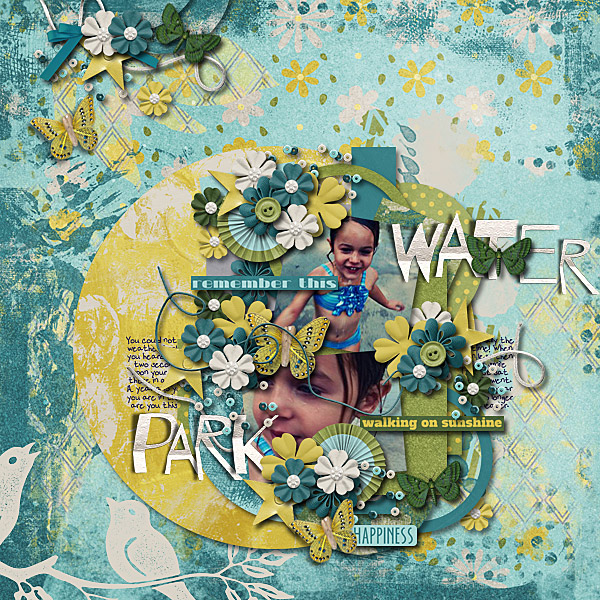 Water Park