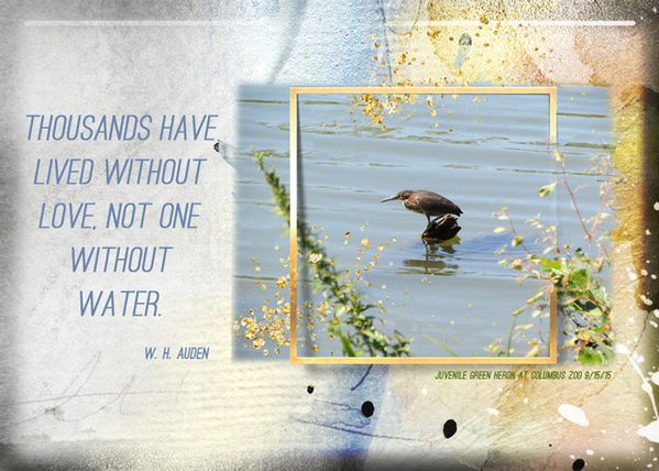 Water