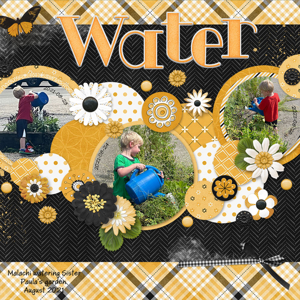 Water