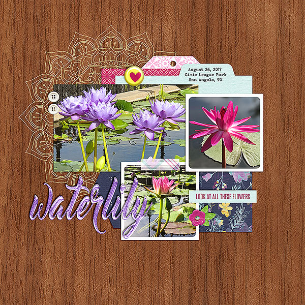 Waterlily