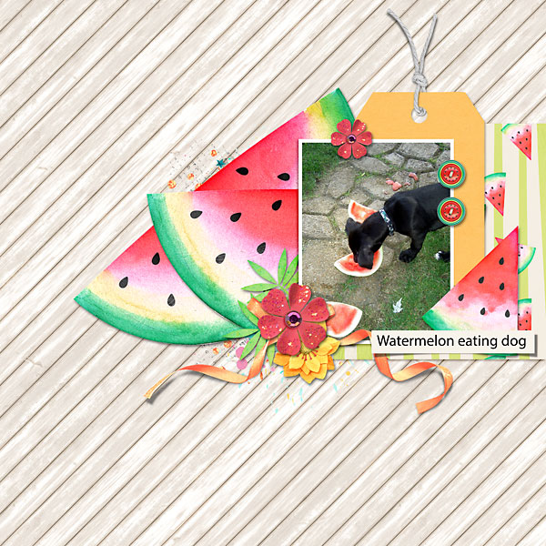 Watermelon-Dog