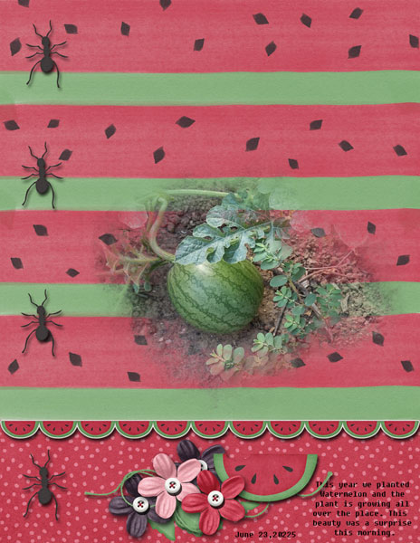 Watermelon
