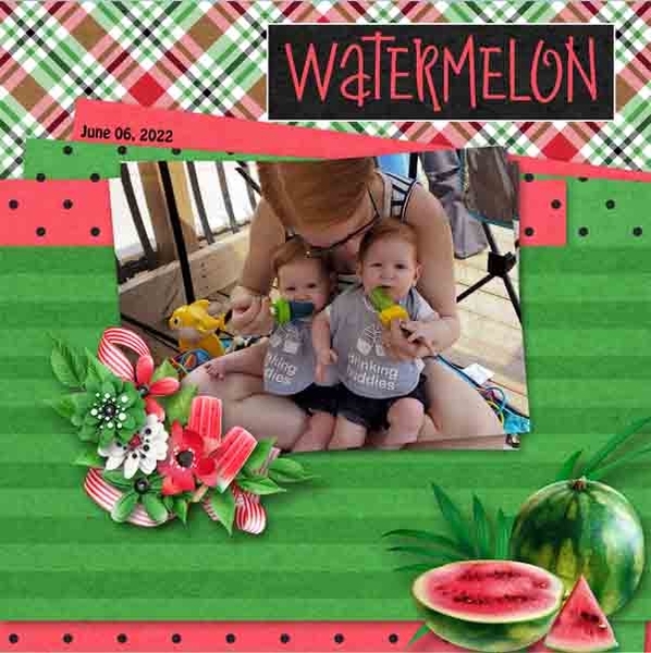 Watermelon_Wren