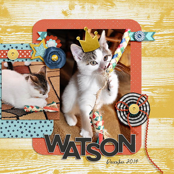 watson playtime