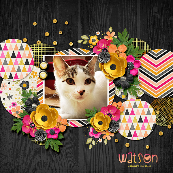 watson