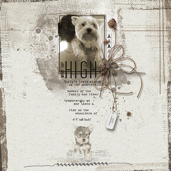 Way up High