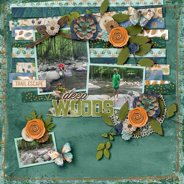Wayfarer-Layout-web600.jpg