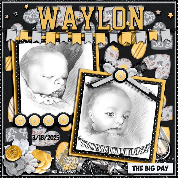 Waylon My New Grandson