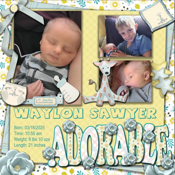 Waylon_birth_TinyMiracle_SCR-Temp01_optimized_500.jpg