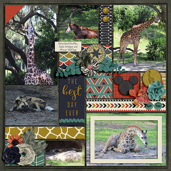 WDW 2019 - Kilimanjaro Safari 2
