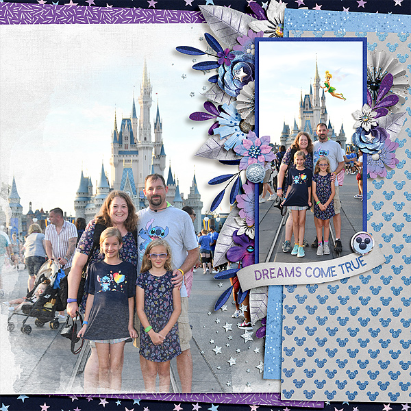 WDW 2019 - MK Castle