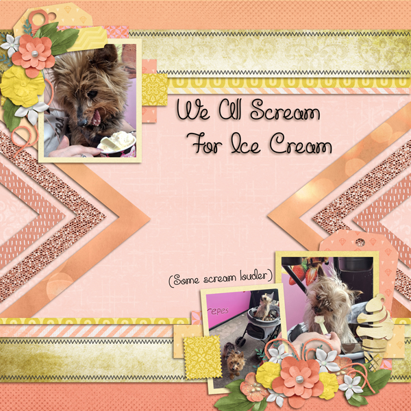 We All Scream for Ice Cream