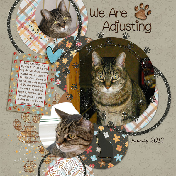We Are Adjusting