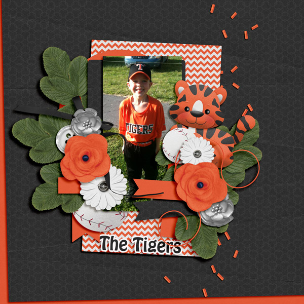 We Are The Tigers
