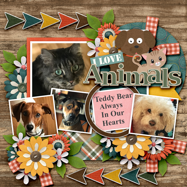 We Love our Animals