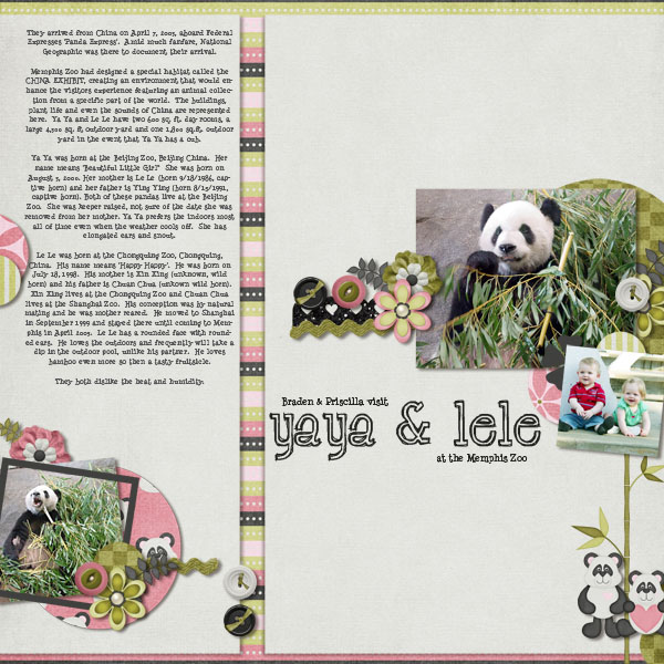 We Love Pandas!