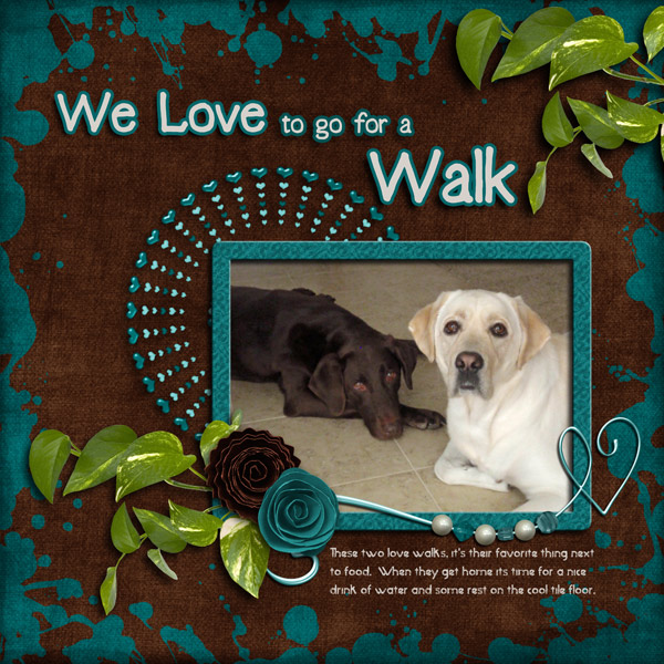 We Love Walks