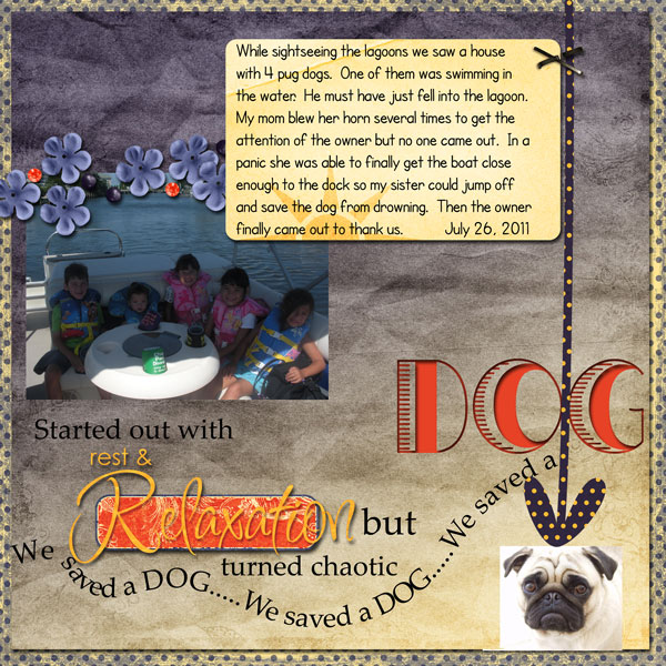 We saved a dog