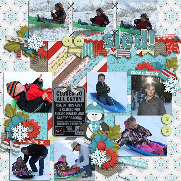 We Wanna Sled!