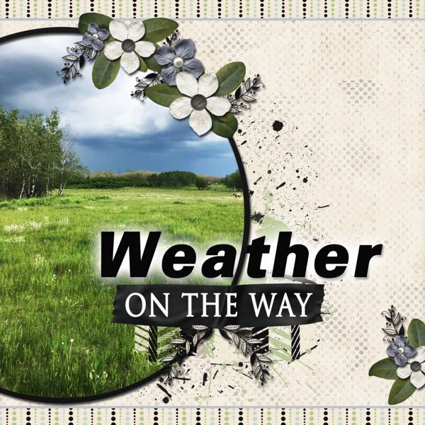 Weather