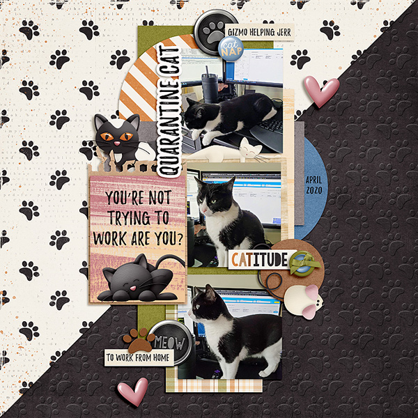 WEB_2020_April_quarantine-cat