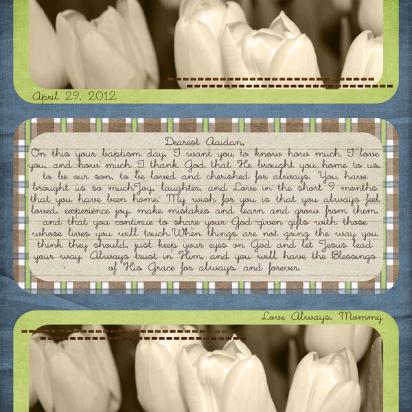 WEB_skdesigns_nightowl_nsdtemp2