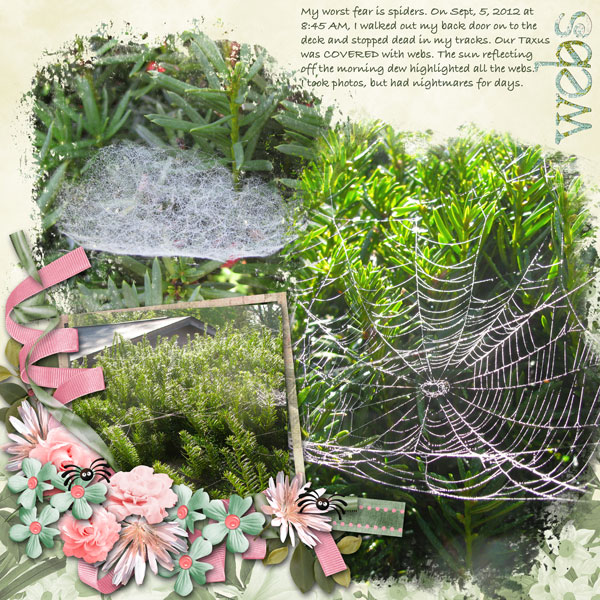 Webs!