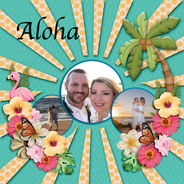Wedding In Hawaii