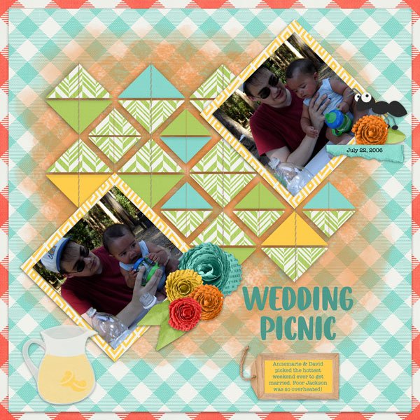 Wedding Picnic