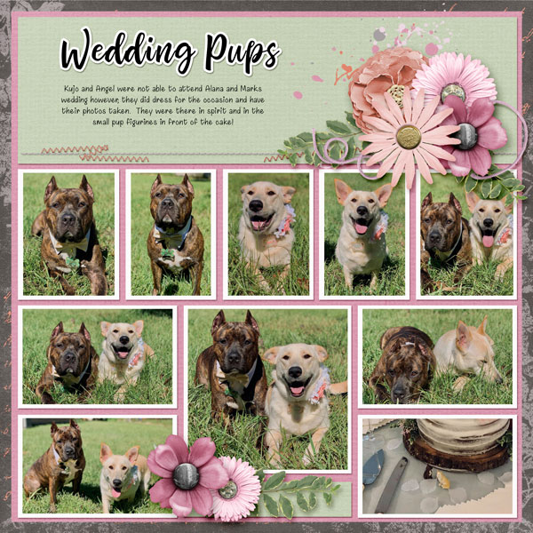 Wedding Pups