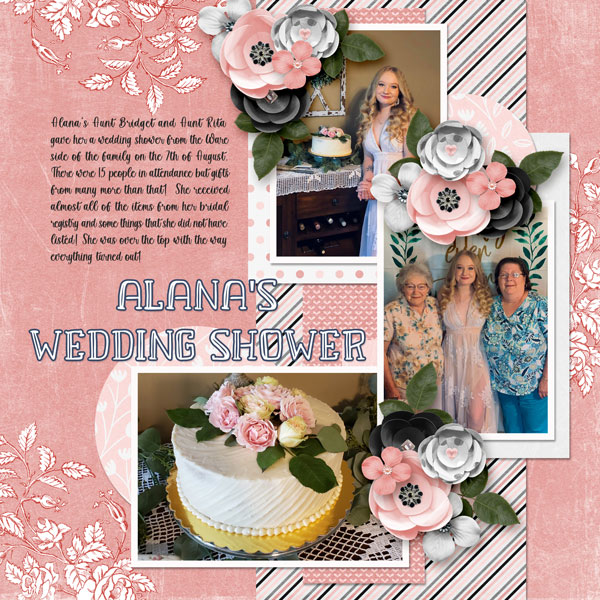 Wedding Shower 2