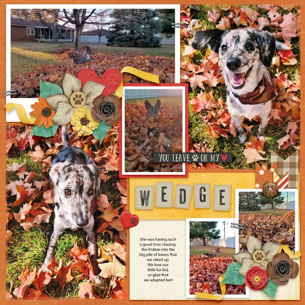 Wedge
