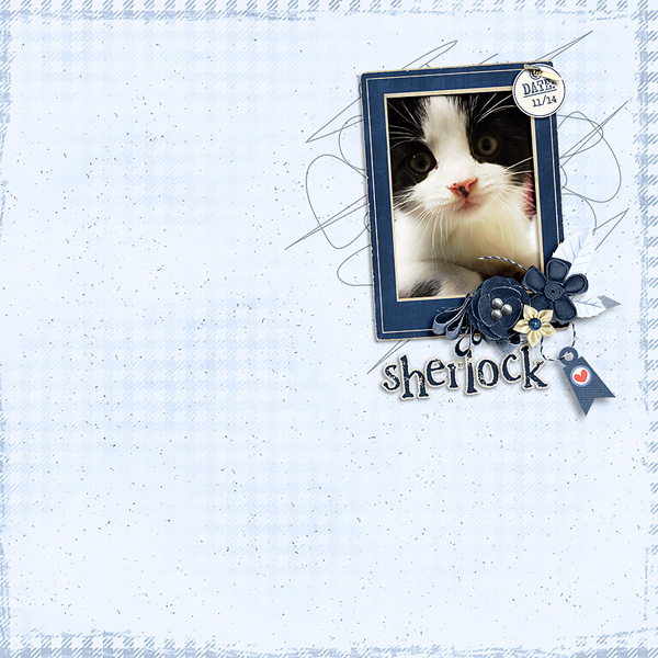 wee sherlock