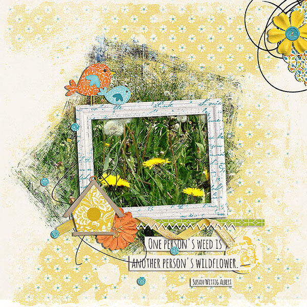 weeds and wildflowers