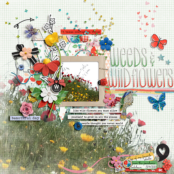 Weeds and wildflowers