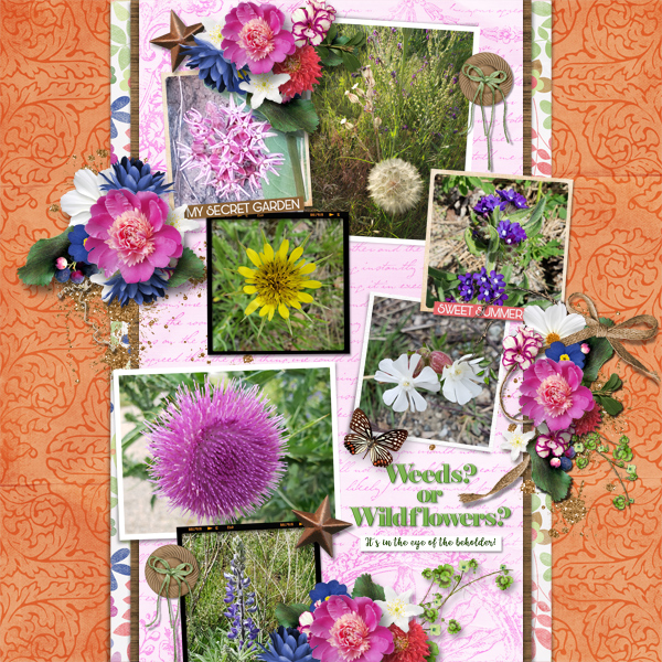 Weeds or Wildflowers