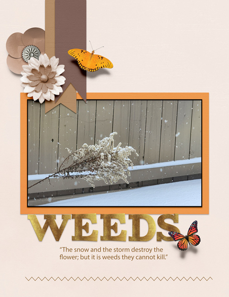 WEEDS