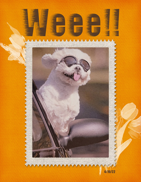 Weee!!
