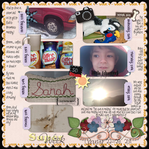 Week 04/52 {2011}