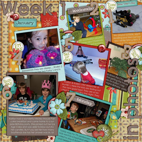 Week 1 Jan 2013