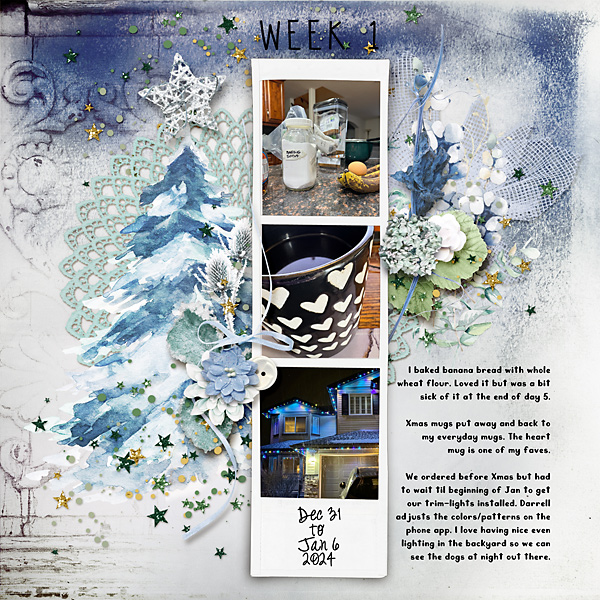Week 1 Project 365