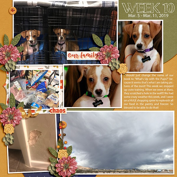 Week 10/52